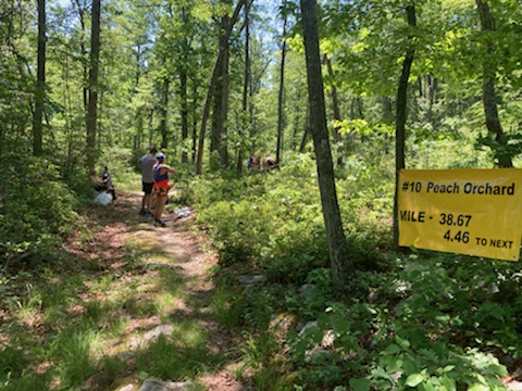 Peach Orchard Aid. Mules and runners can be seen in the background