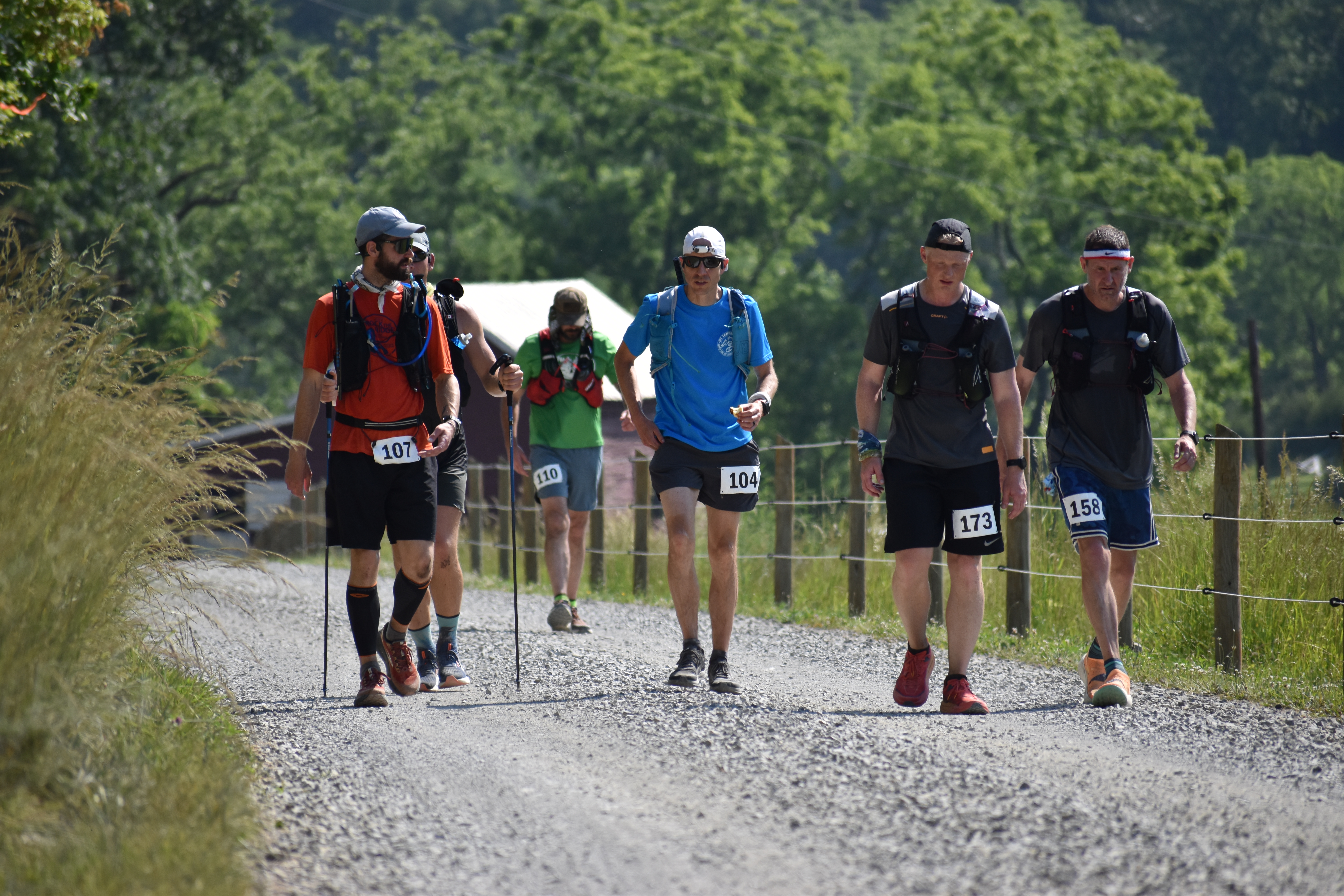 Large group of runners.